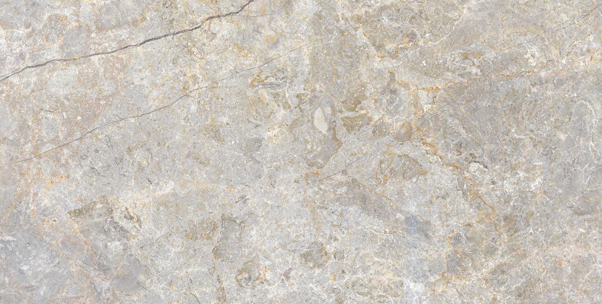 Eterna Argent 60*120 cm
