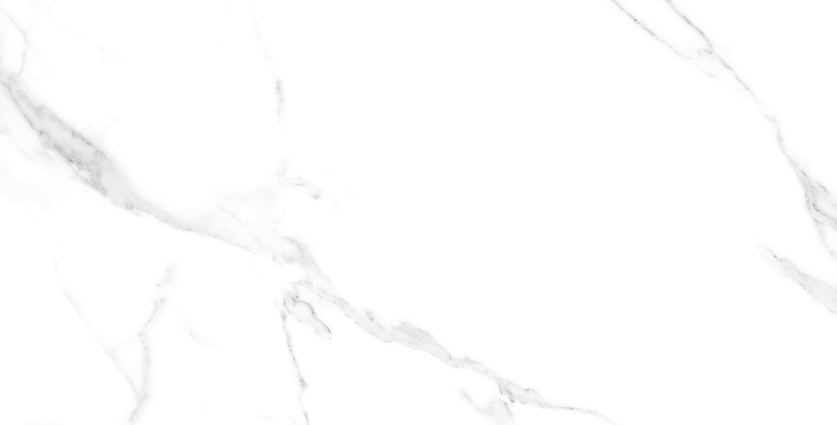 MIAMI BIANCO (MATT)/МАЙАМИ БИАНКО (МАТ) 60*120