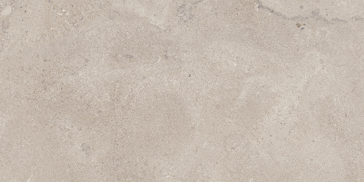 PORTLANDSTONE TAUPE(MATT)/ПОРТЛЕНДСТОУН ТАУП(МАТ) 60*120