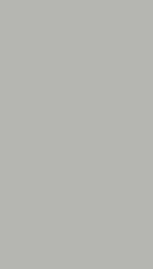 Панель из КМ Paint Light Grey/Краска светло-серый 1080*2800*8 (1шт.=3,024 кв.м.) connect