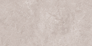 Керамогранит CRISTACER TITANIUM SILVER/ТАЙТЕЙНЬЕМ СИЛВЕР 60*120 — фото 5