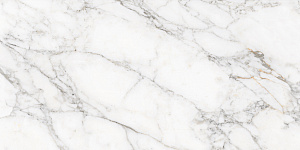 Керамогранит LV GRANITO RS LIAC WHITE (CARVING)/РС ЛИАК ВАЙТ (КАРВИНГ) 60*120 — фото 3