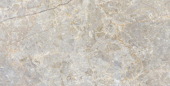 Керамогранит MAYOR Eterna Argent 60*120 cm