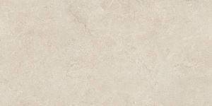 Керамогранит ECOCERAMIC SOUTHWELL CROSS BONE/СОУТВЕЛЛ КРОСС БОН 60*120 — фото 3