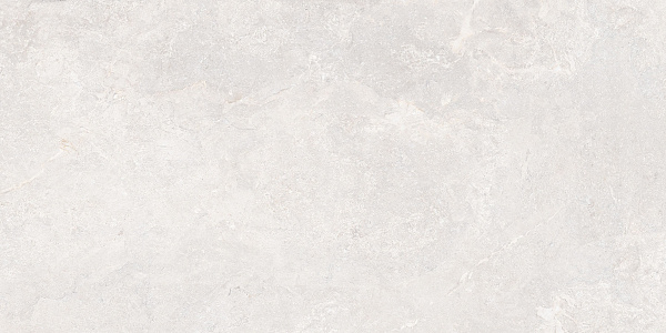 Керамогранит ITALICA IRONFORGE WHITE (STONELO+CARVING) 60*120